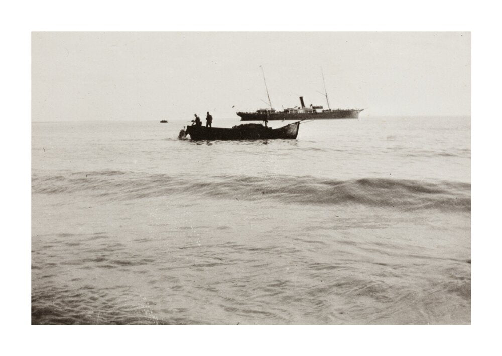 The Method of Landing Bullocks which are taken from the ship in a boat and pushed overboard. When some way from the shore, they usually swim to the land, but not always. unstretched canvas extra large none Art Print - Science Museum Shop