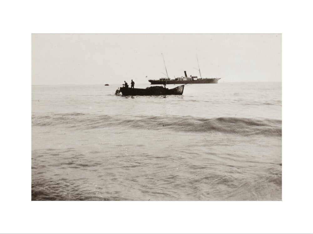 The Method of Landing Bullocks which are taken from the ship in a boat and pushed overboard. When some way from the shore, they usually swim to the land, but not always. art print small none Art Print - Science Museum Shop