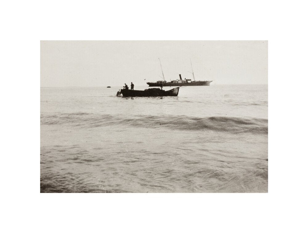 The Method of Landing Bullocks which are taken from the ship in a boat and pushed overboard. When some way from the shore, they usually swim to the land, but not always. unstretched canvas small none Art Print - Science Museum Shop