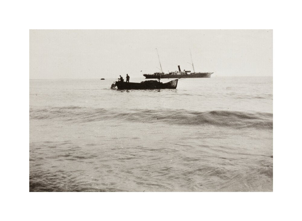 The Method of Landing Bullocks which are taken from the ship in a boat and pushed overboard. When some way from the shore, they usually swim to the land, but not always. unstretched canvas medium none Art Print - Science Museum Shop