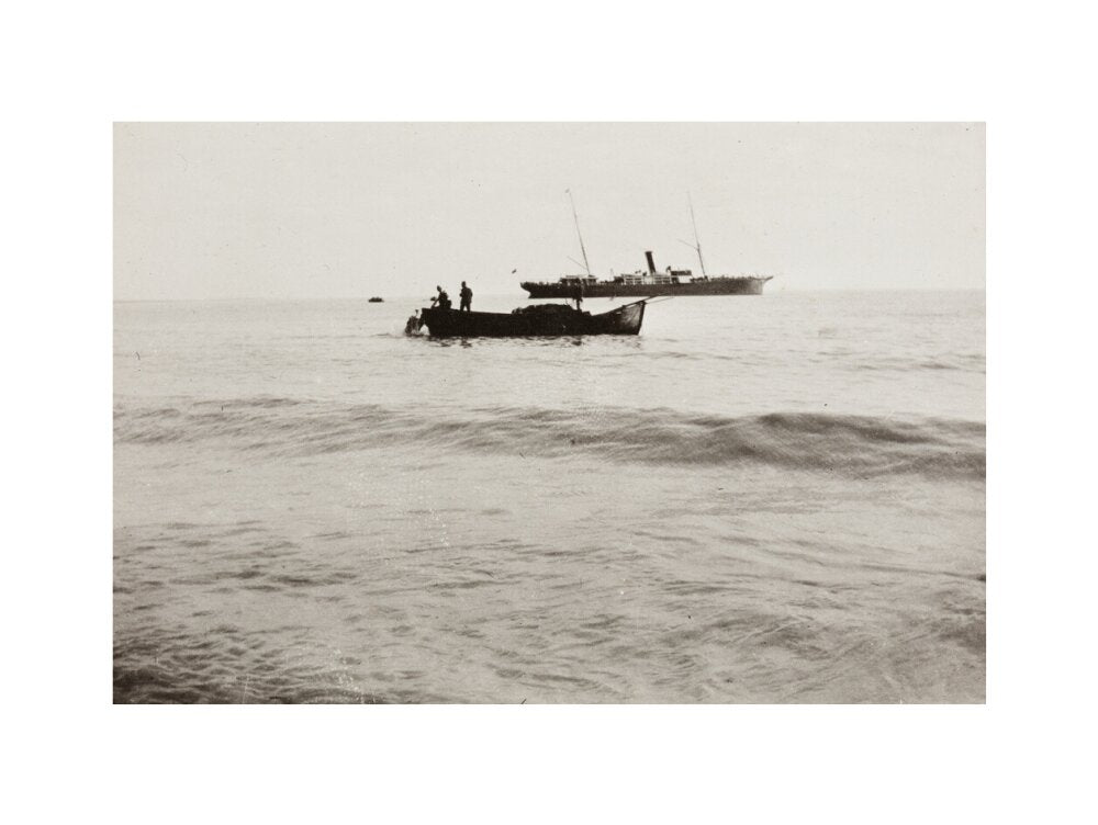 The Method of Landing Bullocks which are taken from the ship in a boat and pushed overboard. When some way from the shore, they usually swim to the land, but not always. art print large none Art Print - Science Museum Shop