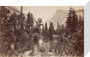 The Half Dome, Yosemite, California, USA, c 1850-1900. stretched canvas small none Art Print - Science Museum Shop