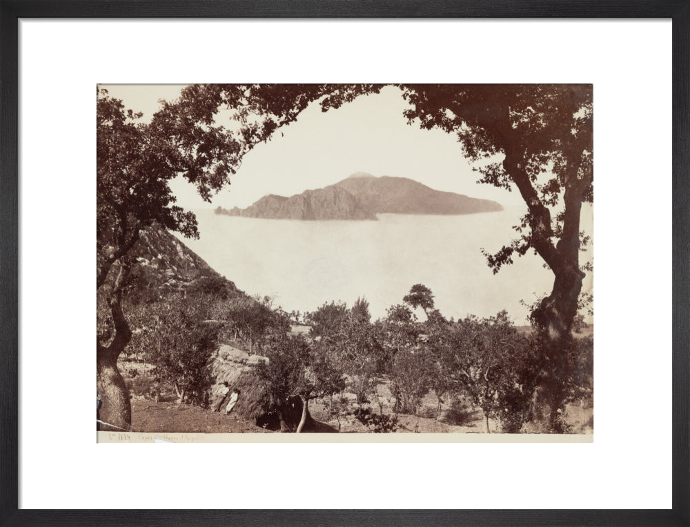 The island of Capri from Massa, Italy, c 1850-1900. art print medium black Art Print - Science Museum Shop