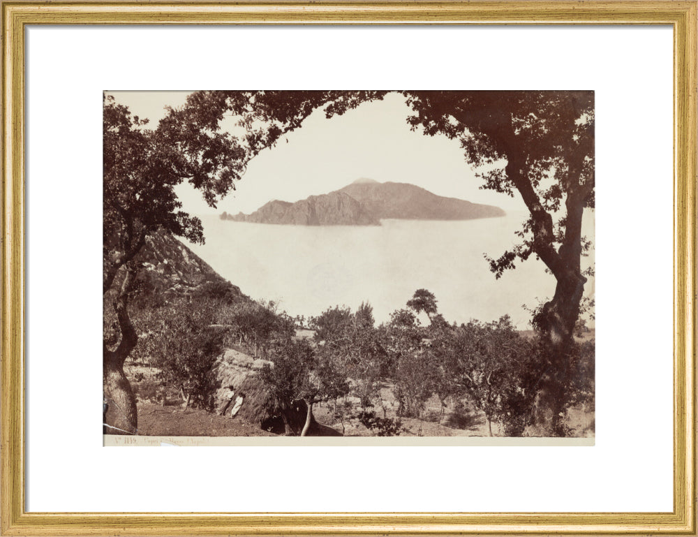 The island of Capri from Massa, Italy, c 1850-1900. art print medium gold Art Print - Science Museum Shop