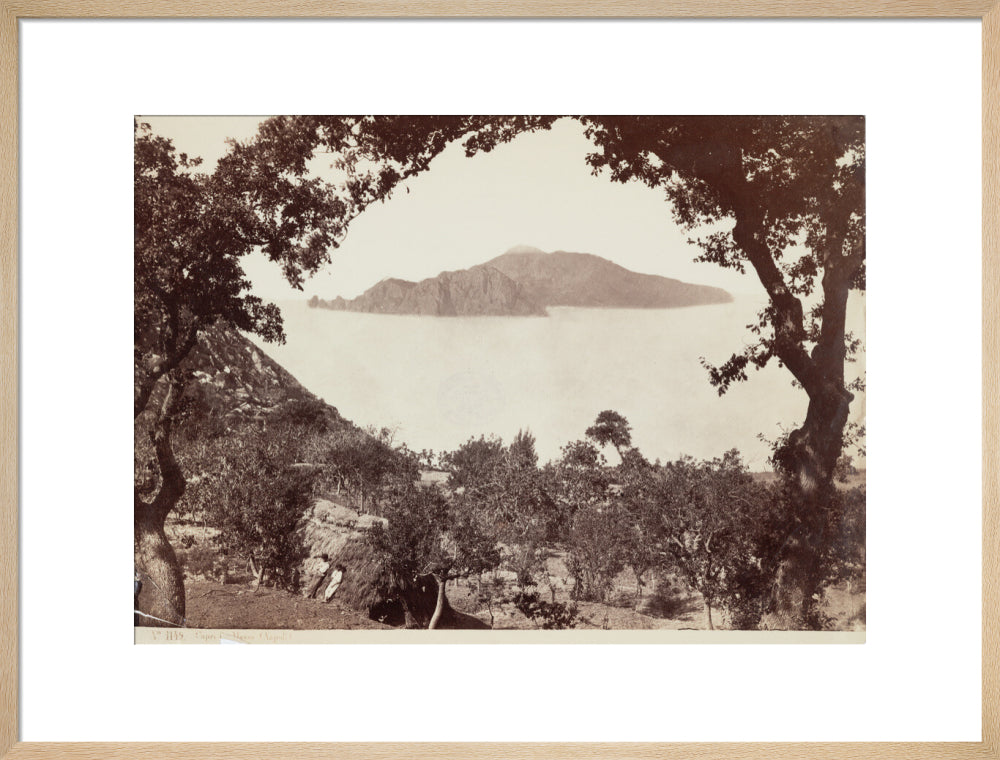 The island of Capri from Massa, Italy, c 1850-1900. art print large natural Art Print - Science Museum Shop