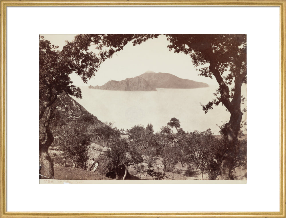 The island of Capri from Massa, Italy, c 1850-1900. art print extra large gold Art Print - Science Museum Shop