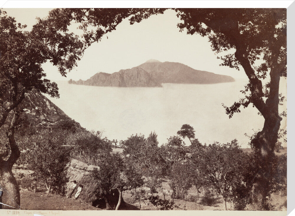 The island of Capri from Massa, Italy, c 1850-1900. stretched canvas extra large none Art Print - Science Museum Shop