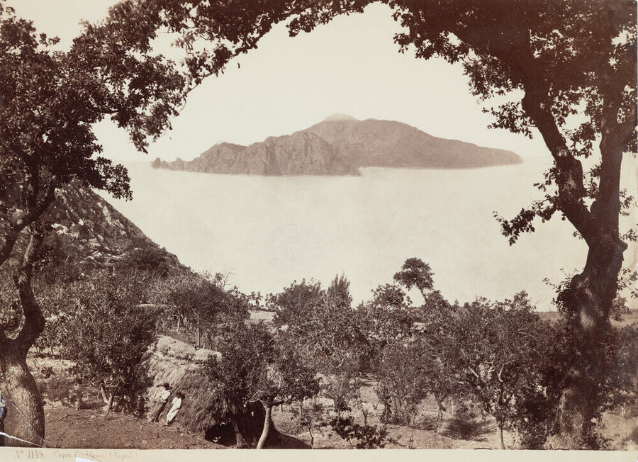 The island of Capri from Massa, Italy, c 1850-1900. Art Print - Science Museum Shop