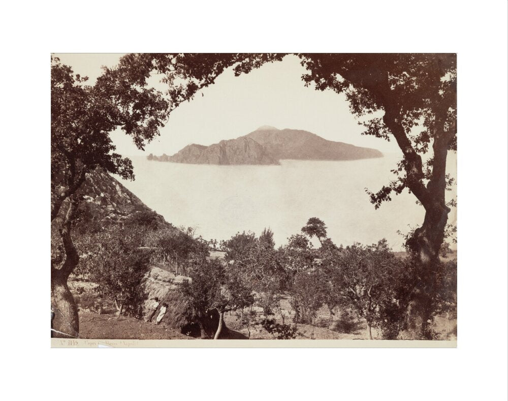 The island of Capri from Massa, Italy, c 1850-1900. art print extra small none Art Print - Science Museum Shop
