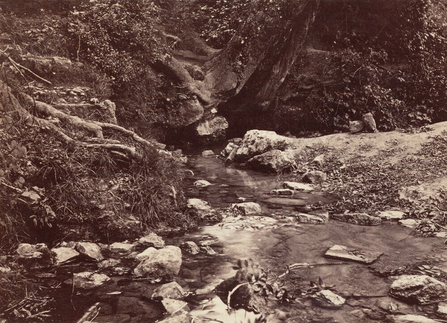 'Seven Springs, source of the Thames near Cheltenham', c 1850-1900. Art Print - Science Museum Shop
