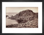 'The Honeycomb, Giant's Causeway', Northern Ireland, c 1850-1900. art print extra small black Art Print - Science Museum Shop