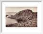 'The Honeycomb, Giant's Causeway', Northern Ireland, c 1850-1900. art print extra small white Art Print - Science Museum Shop