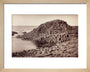 'The Honeycomb, Giant's Causeway', Northern Ireland, c 1850-1900. art print extra small natural Art Print - Science Museum Shop