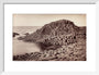 'The Honeycomb, Giant's Causeway', Northern Ireland, c 1850-1900. art print small white Art Print - Science Museum Shop