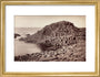 'The Honeycomb, Giant's Causeway', Northern Ireland, c 1850-1900. art print small gold Art Print - Science Museum Shop