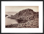 'The Honeycomb, Giant's Causeway', Northern Ireland, c 1850-1900. art print medium black Art Print - Science Museum Shop