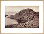 'The Honeycomb, Giant's Causeway', Northern Ireland, c 1850-1900. art print medium natural Art Print - Science Museum Shop