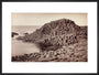 'The Honeycomb, Giant's Causeway', Northern Ireland, c 1850-1900. art print large black Art Print - Science Museum Shop