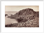 'The Honeycomb, Giant's Causeway', Northern Ireland, c 1850-1900. art print large white Art Print - Science Museum Shop