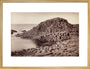 'The Honeycomb, Giant's Causeway', Northern Ireland, c 1850-1900. art print large gold Art Print - Science Museum Shop