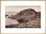 'The Honeycomb, Giant's Causeway', Northern Ireland, c 1850-1900. art print large natural Art Print - Science Museum Shop