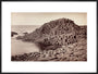 'The Honeycomb, Giant's Causeway', Northern Ireland, c 1850-1900. art print extra large black Art Print - Science Museum Shop