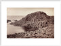 'The Honeycomb, Giant's Causeway', Northern Ireland, c 1850-1900. art print extra large white Art Print - Science Museum Shop