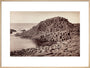 'The Honeycomb, Giant's Causeway', Northern Ireland, c 1850-1900. art print extra large natural Art Print - Science Museum Shop