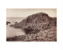 'The Honeycomb, Giant's Causeway', Northern Ireland, c 1850-1900. art print extra small none Art Print - Science Museum Shop