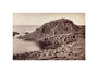 'The Honeycomb, Giant's Causeway', Northern Ireland, c 1850-1900. unstretched canvas small none Art Print - Science Museum Shop