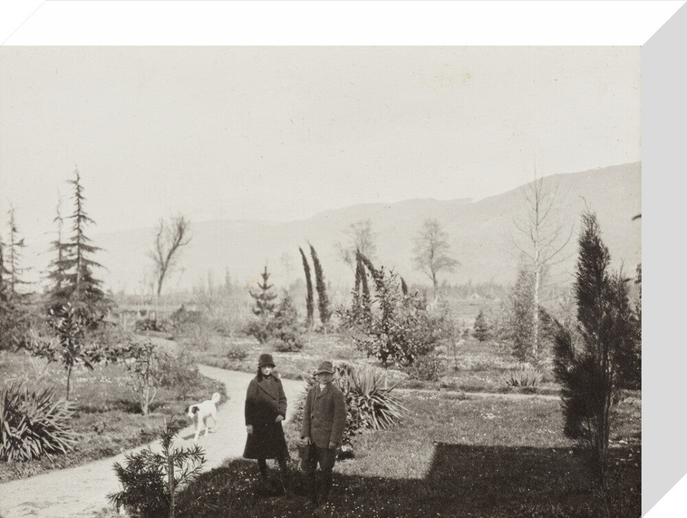 Black and white photograph entitled 'Colchido' stretched canvas small none Art Print - Science Museum Shop