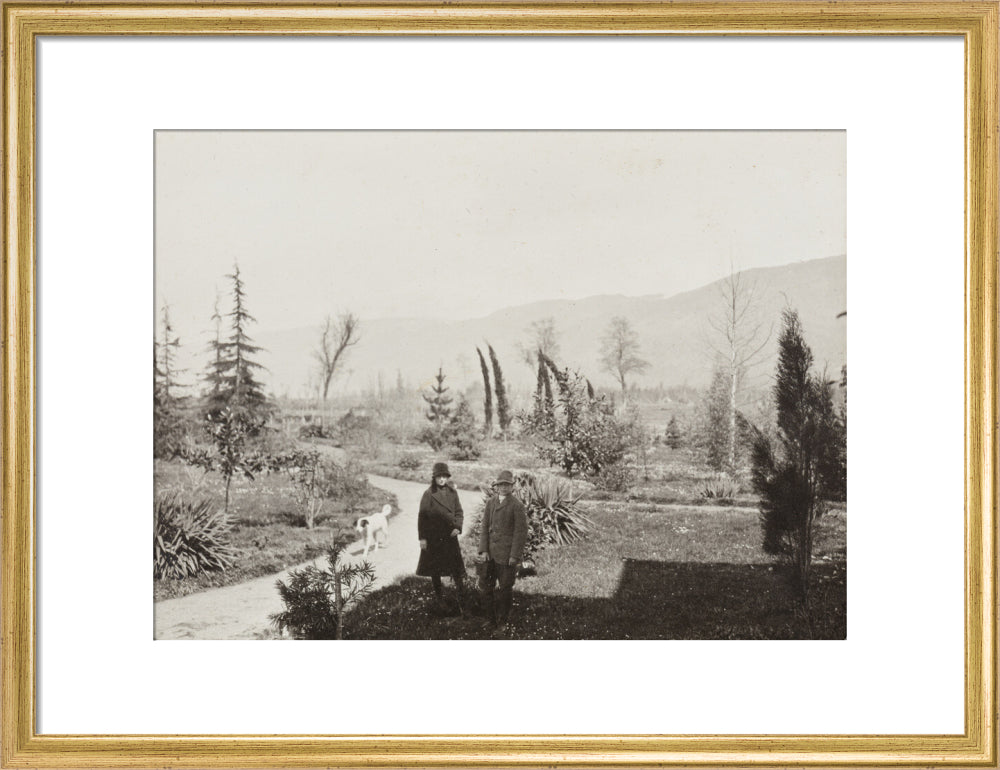 Black and white photograph entitled 'Colchido' art print medium gold Art Print - Science Museum Shop