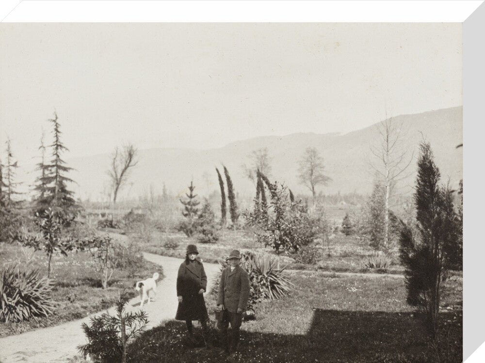 Black and white photograph entitled 'Colchido' stretched canvas medium none Art Print - Science Museum Shop