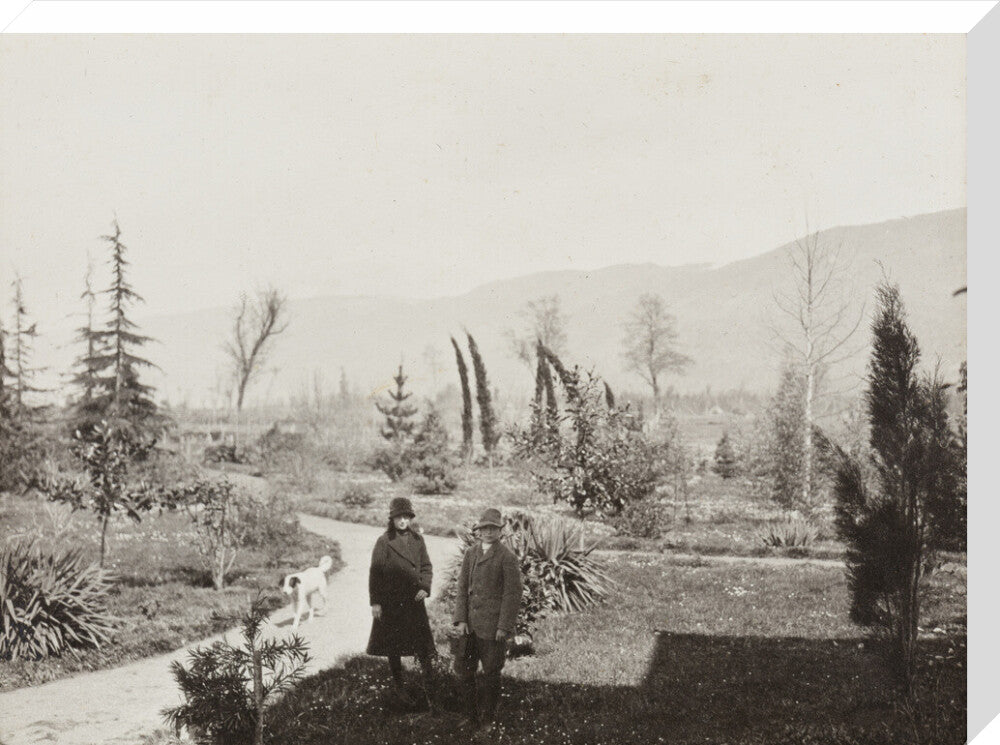 Black and white photograph entitled 'Colchido' stretched canvas large none Art Print - Science Museum Shop