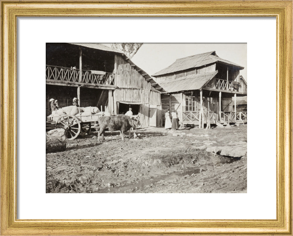 Black and white photograph entitled 'Typical Caucasian Houses' art print extra small gold Art Print - Science Museum Shop