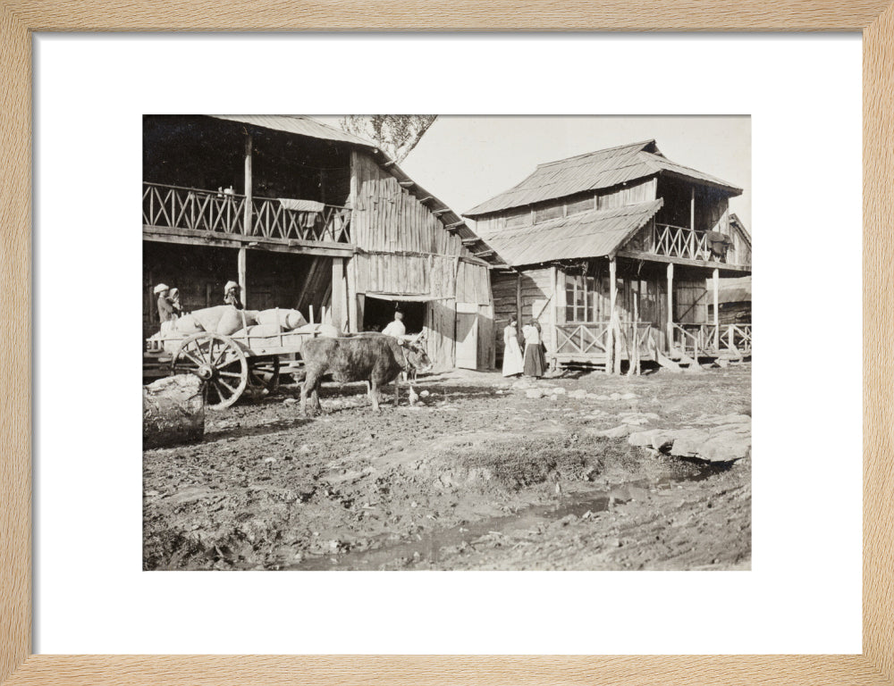 Black and white photograph entitled 'Typical Caucasian Houses' art print small natural Art Print - Science Museum Shop