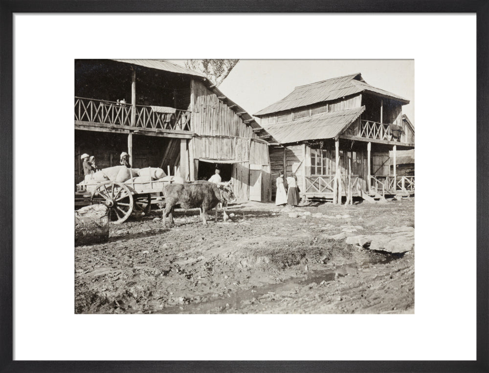 Black and white photograph entitled 'Typical Caucasian Houses' art print medium black Art Print - Science Museum Shop
