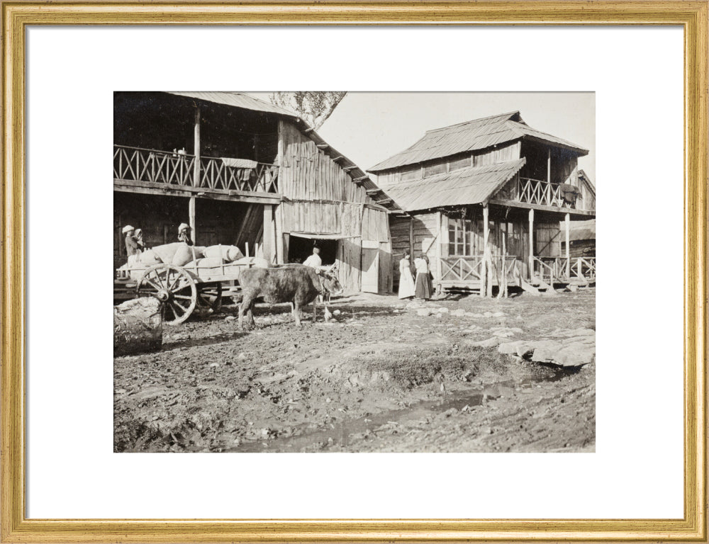 Black and white photograph entitled 'Typical Caucasian Houses' art print medium gold Art Print - Science Museum Shop
