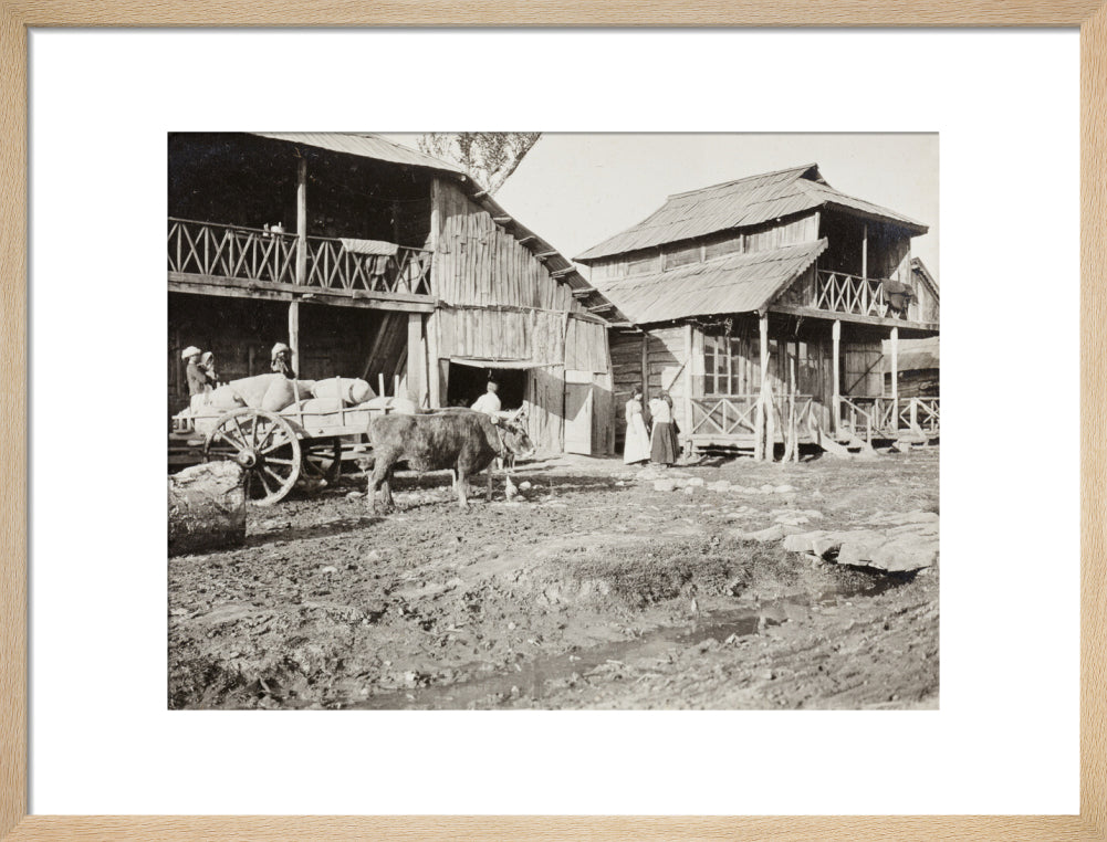Black and white photograph entitled 'Typical Caucasian Houses' art print medium natural Art Print - Science Museum Shop