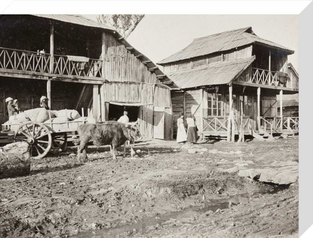Black and white photograph entitled 'Typical Caucasian Houses' stretched canvas medium none Art Print - Science Museum Shop