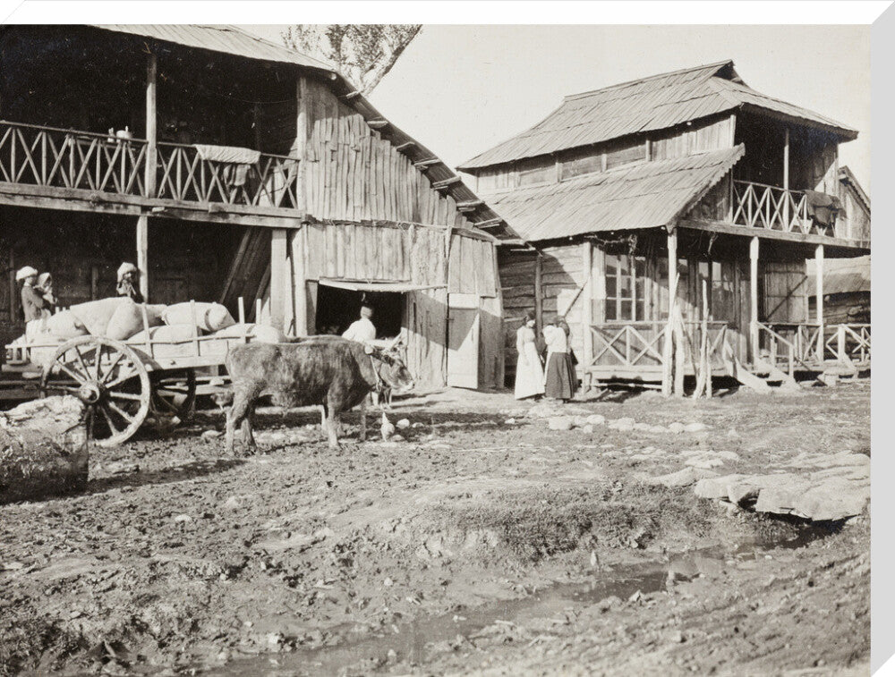 Black and white photograph entitled 'Typical Caucasian Houses' stretched canvas extra large none Art Print - Science Museum Shop