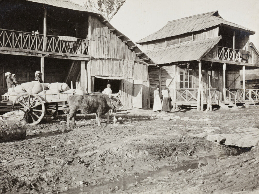 Black and white photograph entitled 'Typical Caucasian Houses' Art Print - Science Museum Shop