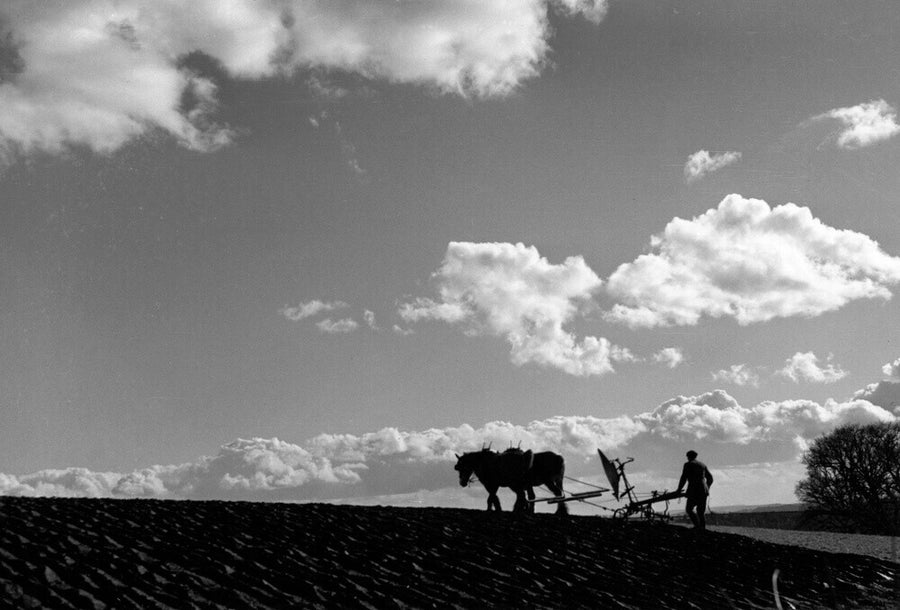 Farmer tilling a field with a horse-drawn plough, c 1920s. Art Print - Science Museum Shop
