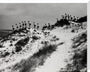 Horizon line of women walking over dunes, about 1930. stretched canvas large none Art Print - Science Museum Shop
