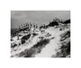 Horizon line of women walking over dunes, about 1930. unstretched canvas small none Art Print - Science Museum Shop