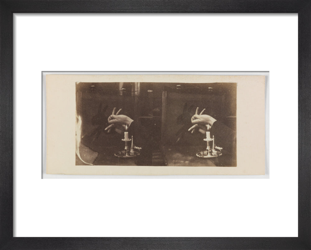 Shadowgraph of a rabbit by candlelight art print extra small black Art Print - Science Museum Shop