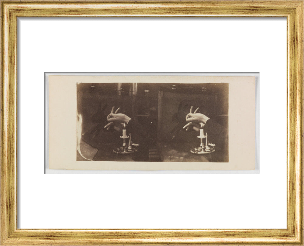 Shadowgraph of a rabbit by candlelight art print extra small gold Art Print - Science Museum Shop