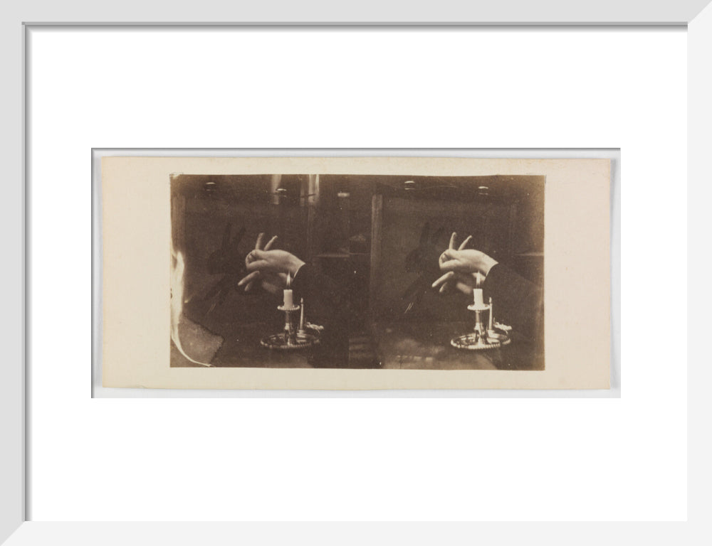 Shadowgraph of a rabbit by candlelight art print small white Art Print - Science Museum Shop