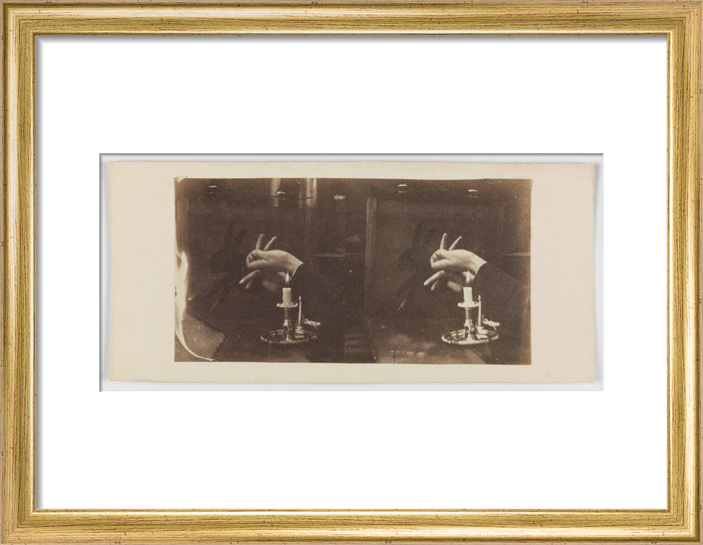 Shadowgraph of a rabbit by candlelight art print small gold Art Print - Science Museum Shop