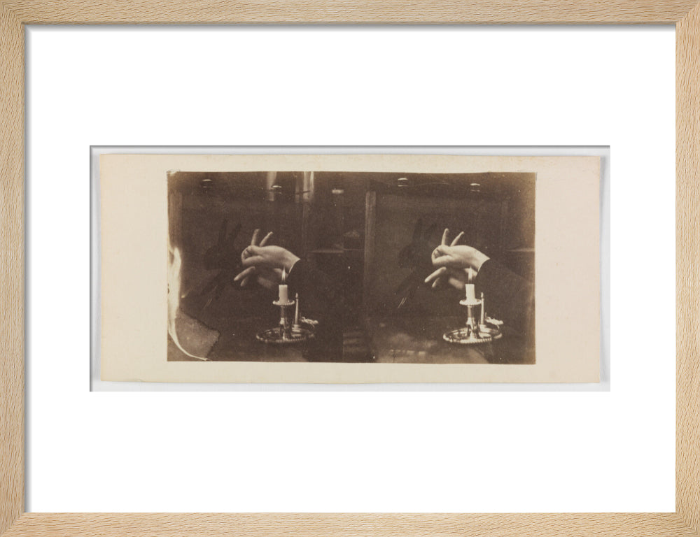 Shadowgraph of a rabbit by candlelight art print small natural Art Print - Science Museum Shop